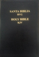 Foreign Language Bibles