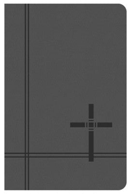 Deluxe Gift & Award KJV Bible (Gray)